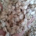 白榆种子榆树种子河北产地直销质量是生存之本