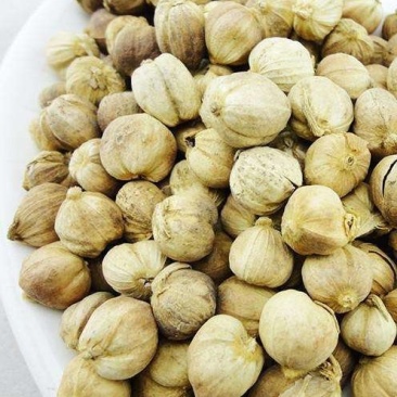 白蔻，常年批发市场药食同源白蔻中药材，量大从优