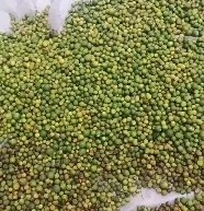 冰糖橙落地果鲜果纽荷尔锦蜜椪柑个青枳实枳壳