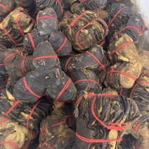 新会陈皮统货五年内十年左右500克起批