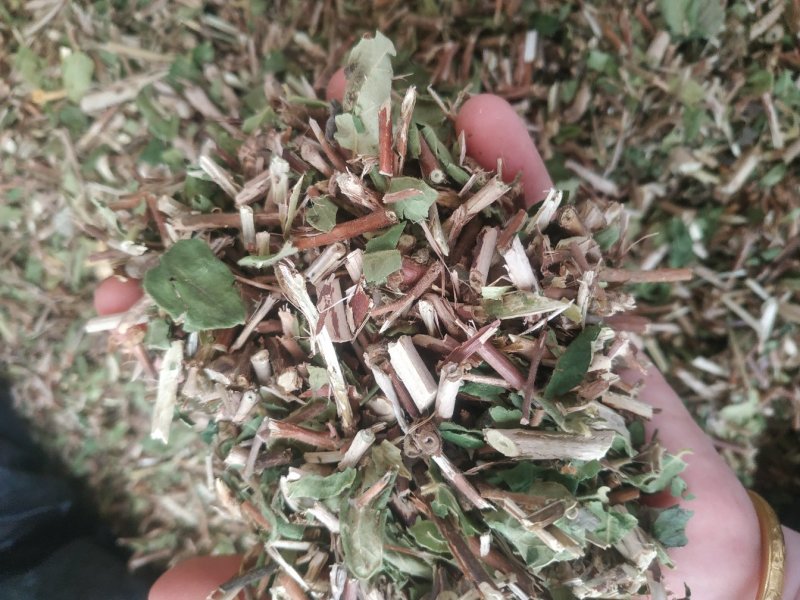 金银花藤～新货～量大优惠～1公斤起售～欢迎咨询采购