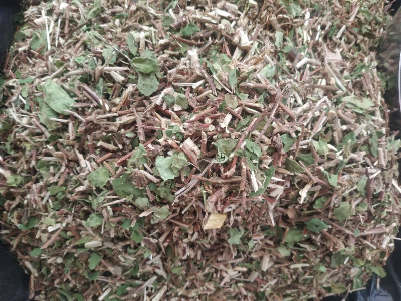 金银花藤～新货～量大优惠～1公斤起售～欢迎咨询采购