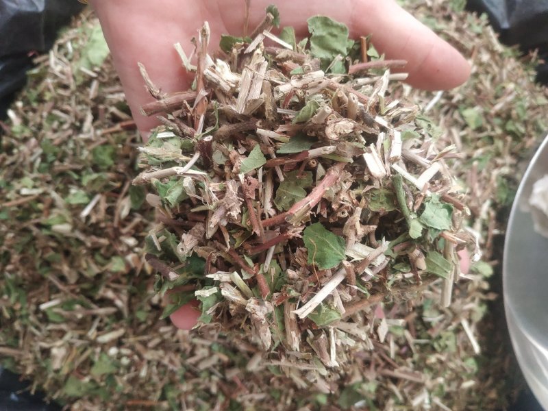 金银花藤～新货～量大优惠～1公斤起售～欢迎咨询采购