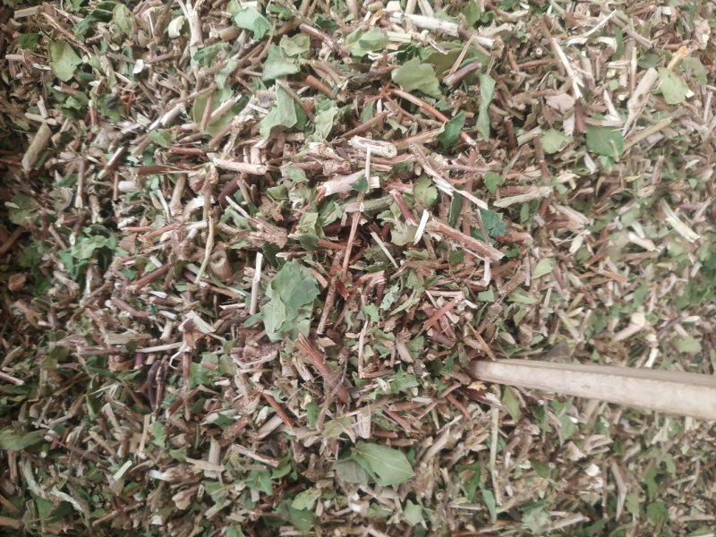 金银花藤～新货～量大优惠～1公斤起售～欢迎咨询采购