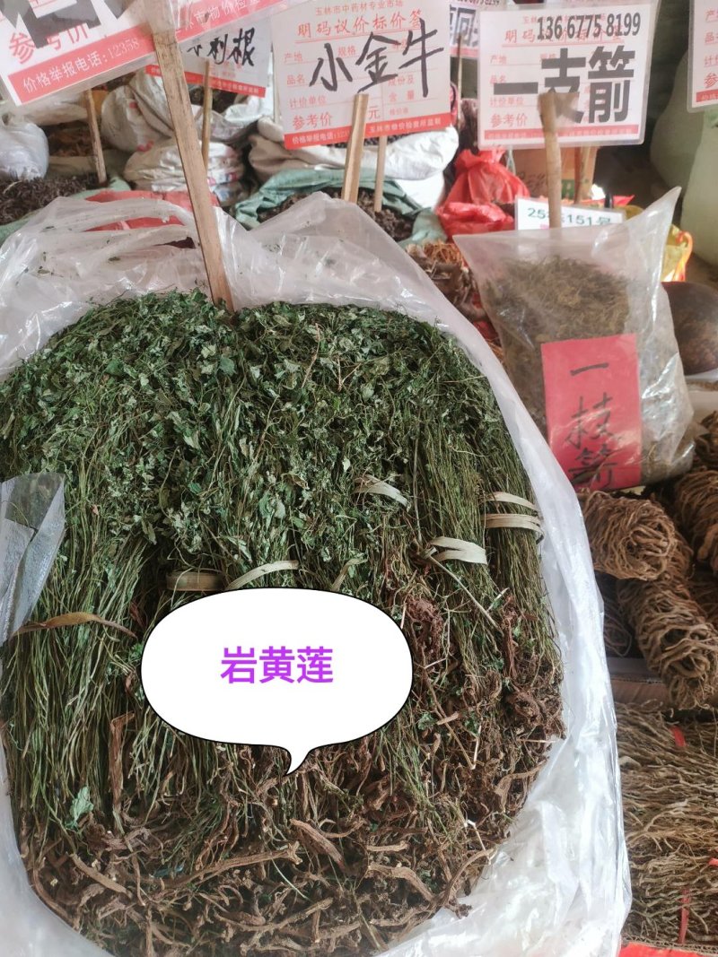 岩黄连～新货～1斤起售～质量好价格便宜欢迎采购咨询