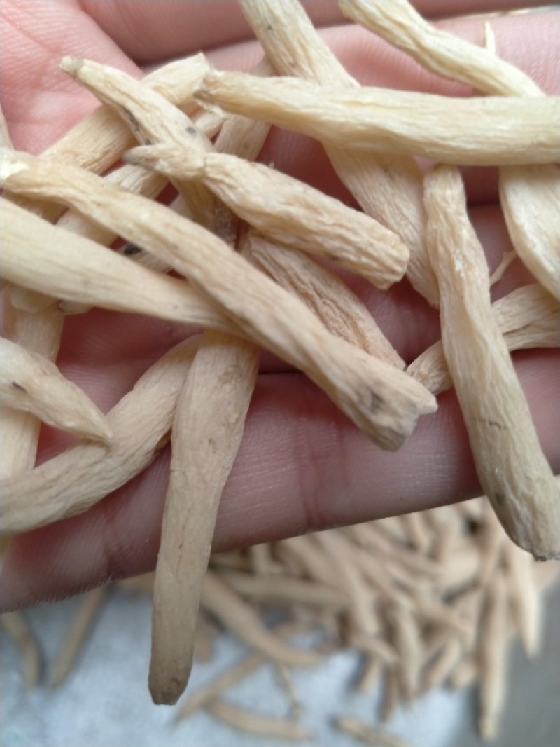 麦冬！大货批发，规格齐全，价格优，整件包邮！