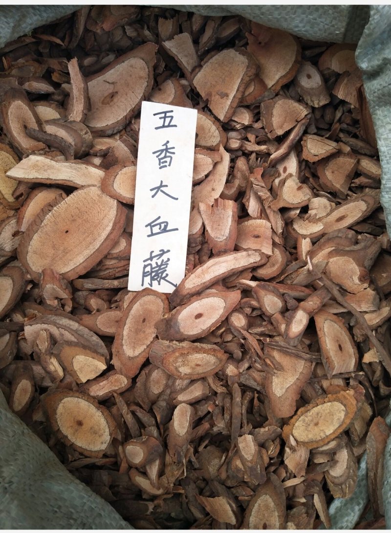 五香大血藤纯野生统货量大从优