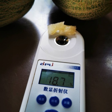 翡翠佳人