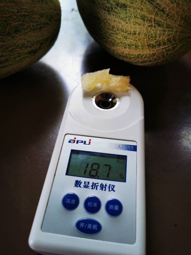 翡翠佳人