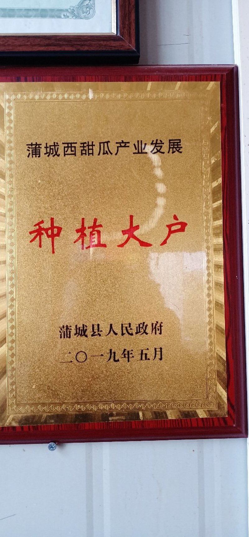 翡翠佳人