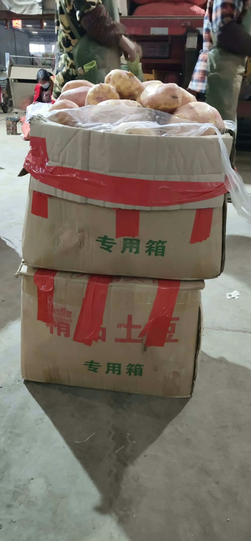 土豆