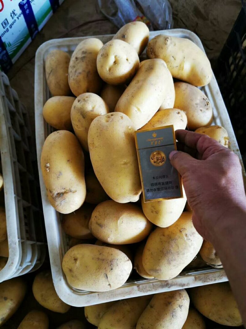 土豆