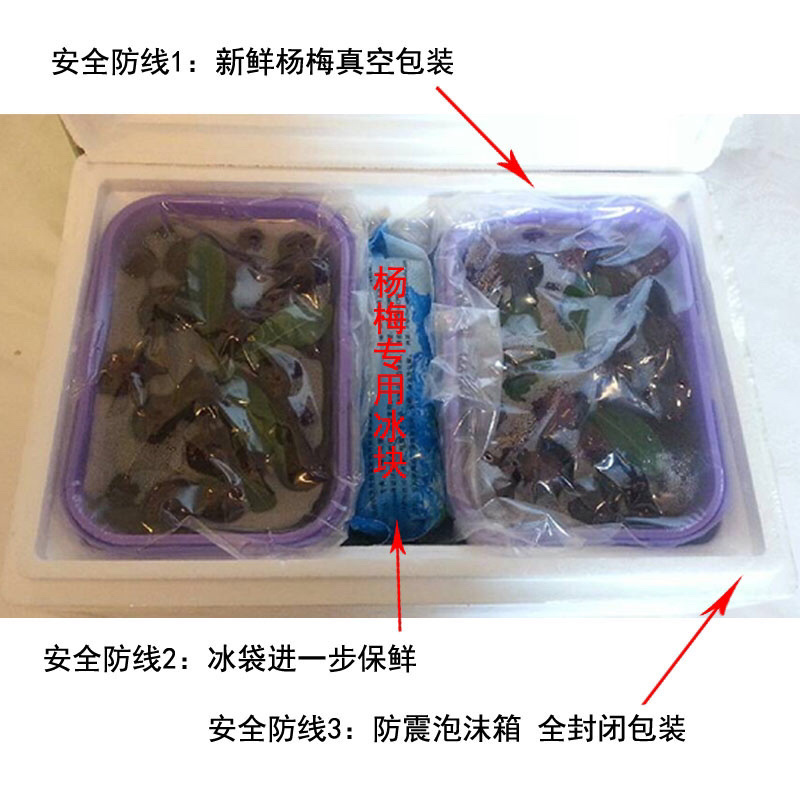 超大仙居东魁杨梅自家果园自产自销