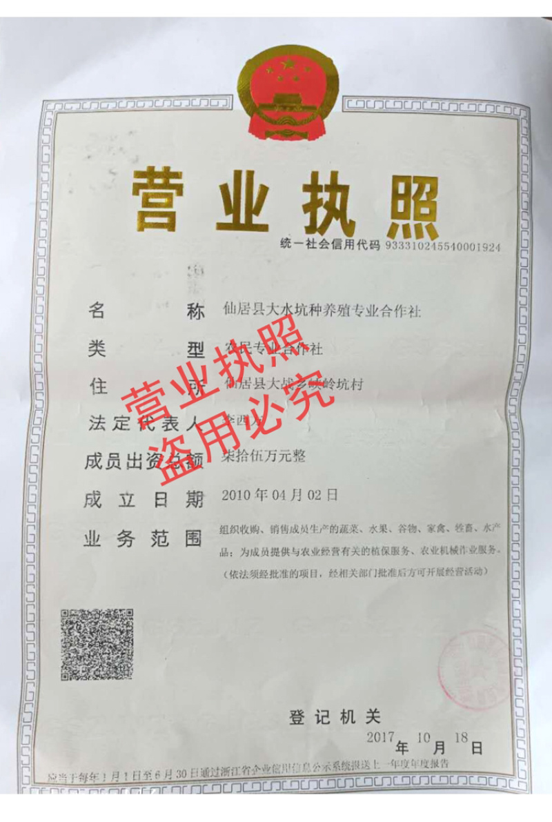 超大仙居东魁杨梅自家果园自产自销