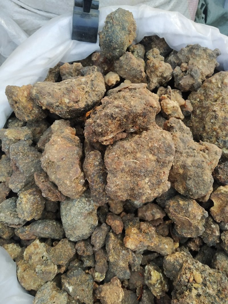 胶质没药非洲进口胶质没药统货选货大货