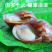 白玉蜗牛情侣蜗牛下蛋蜗牛美容蜗牛