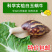 白玉蜗牛情侣蜗牛下蛋蜗牛美容蜗牛