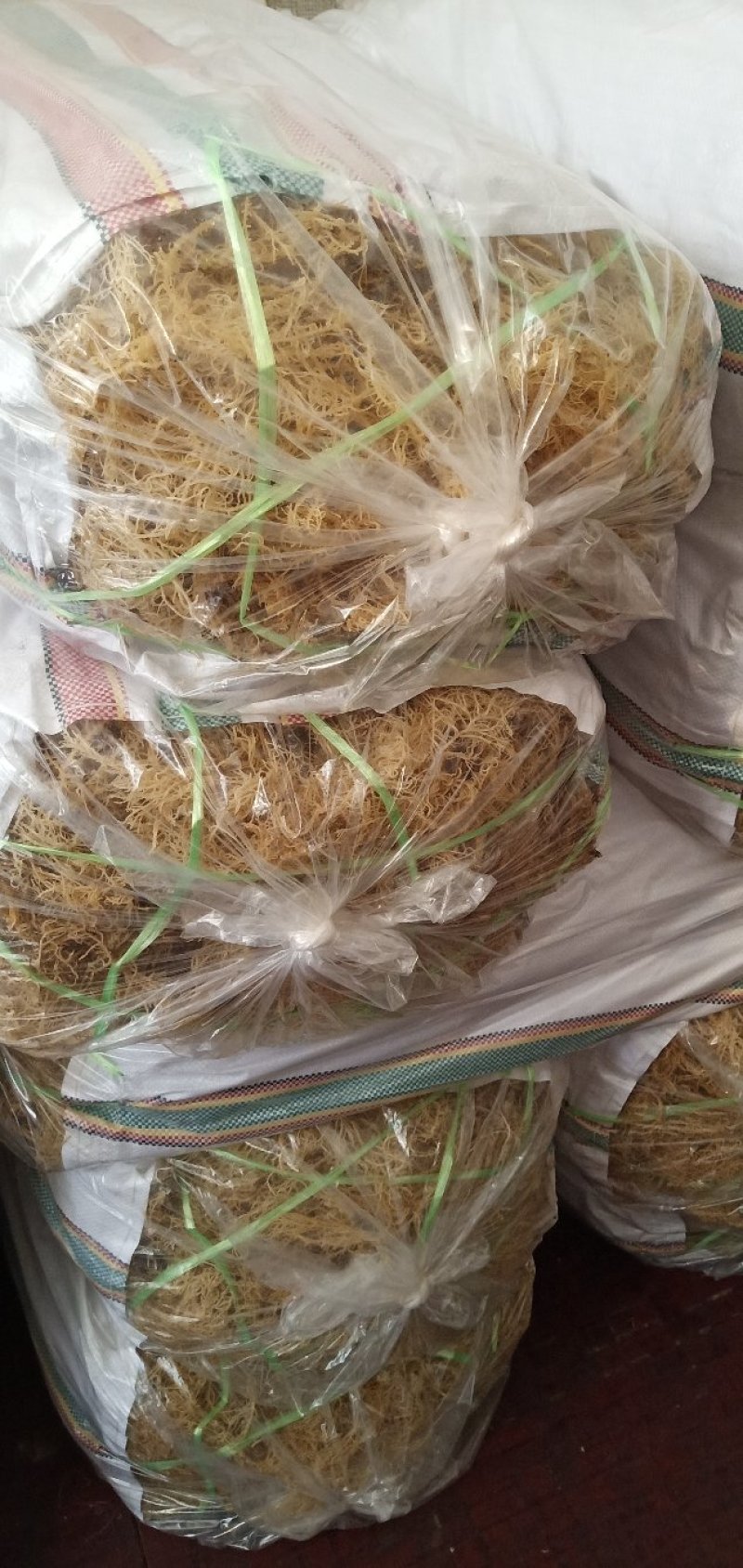 【精选特菜】清水无盐纯干龙须菜鹿角菜产地直销欢迎选购