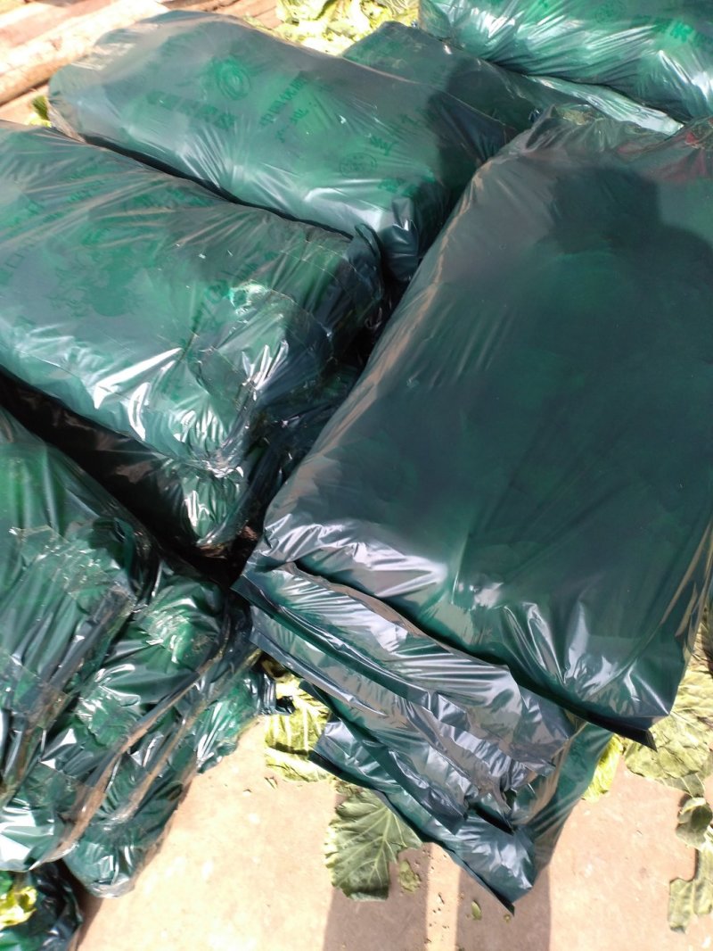 精品，圆包菜，旺旺系列大量上市，产地直供，欢迎采购咨询