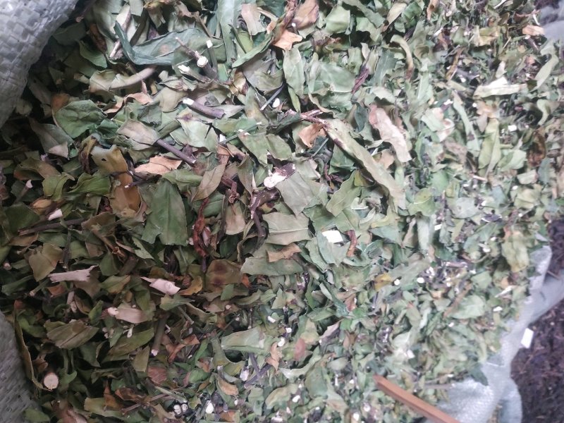 小驳骨15.大驳骨17～新货～质量保证～量大优惠～