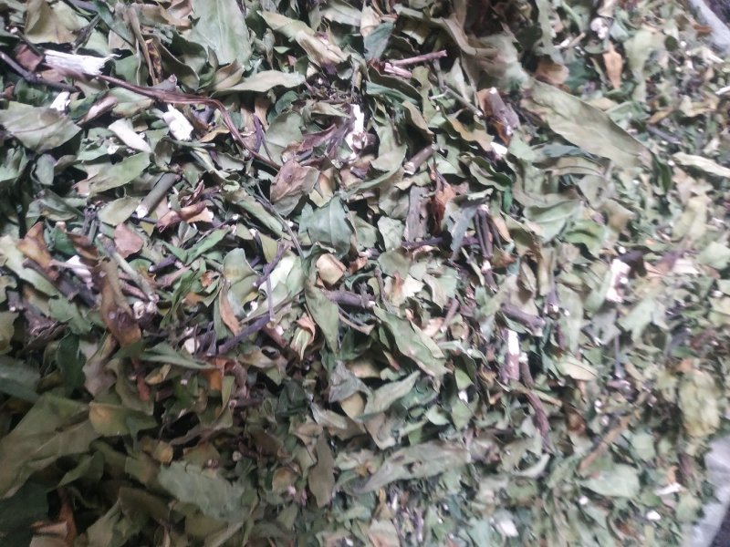 小驳骨15.大驳骨17～新货～质量保证～量大优惠～