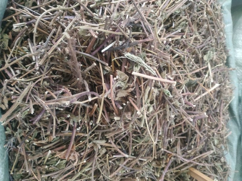 凉粉草～1公斤起售～质量保证~量大从优~