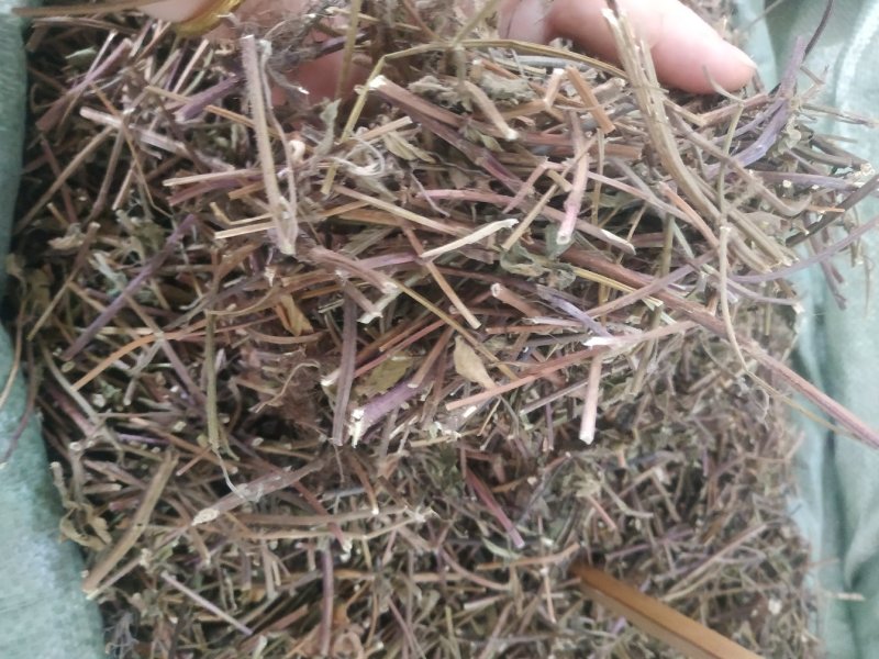 凉粉草～1公斤起售～质量保证~量大从优~