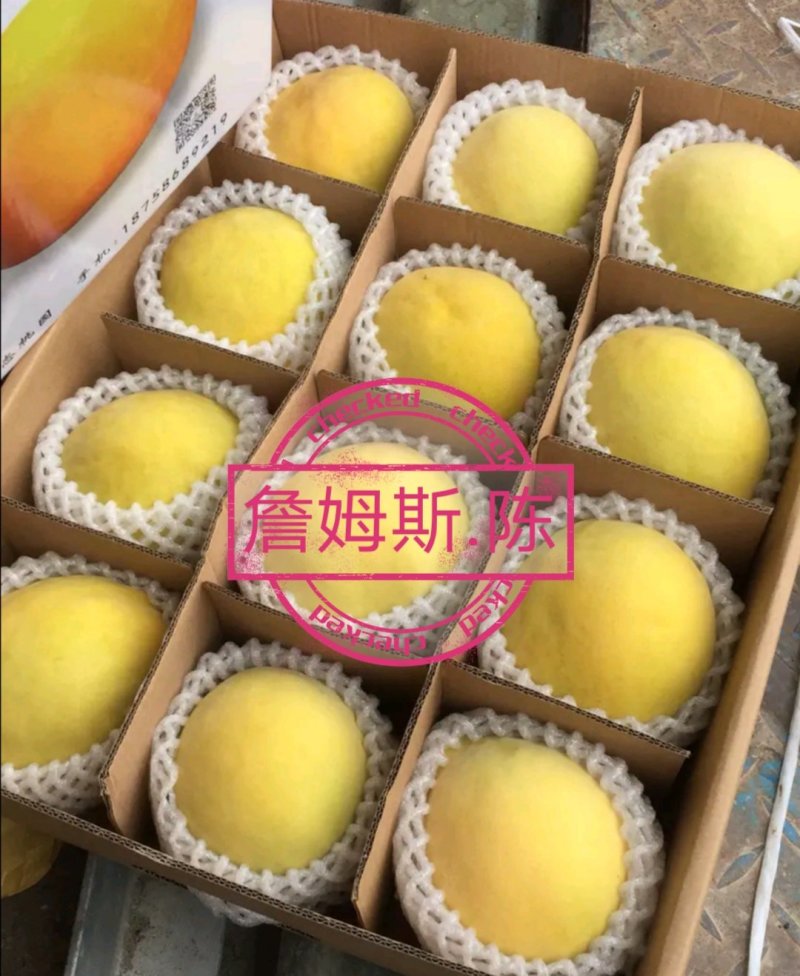 锦绣黄桃早熟产地台州量大从忧