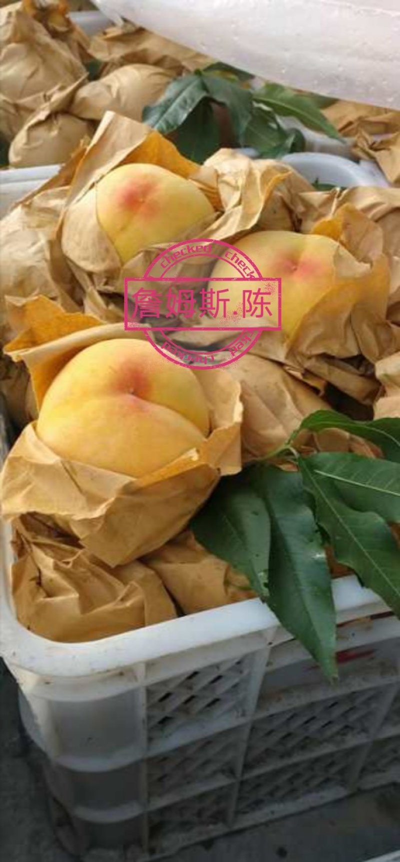 锦绣黄桃早熟产地台州量大从忧
