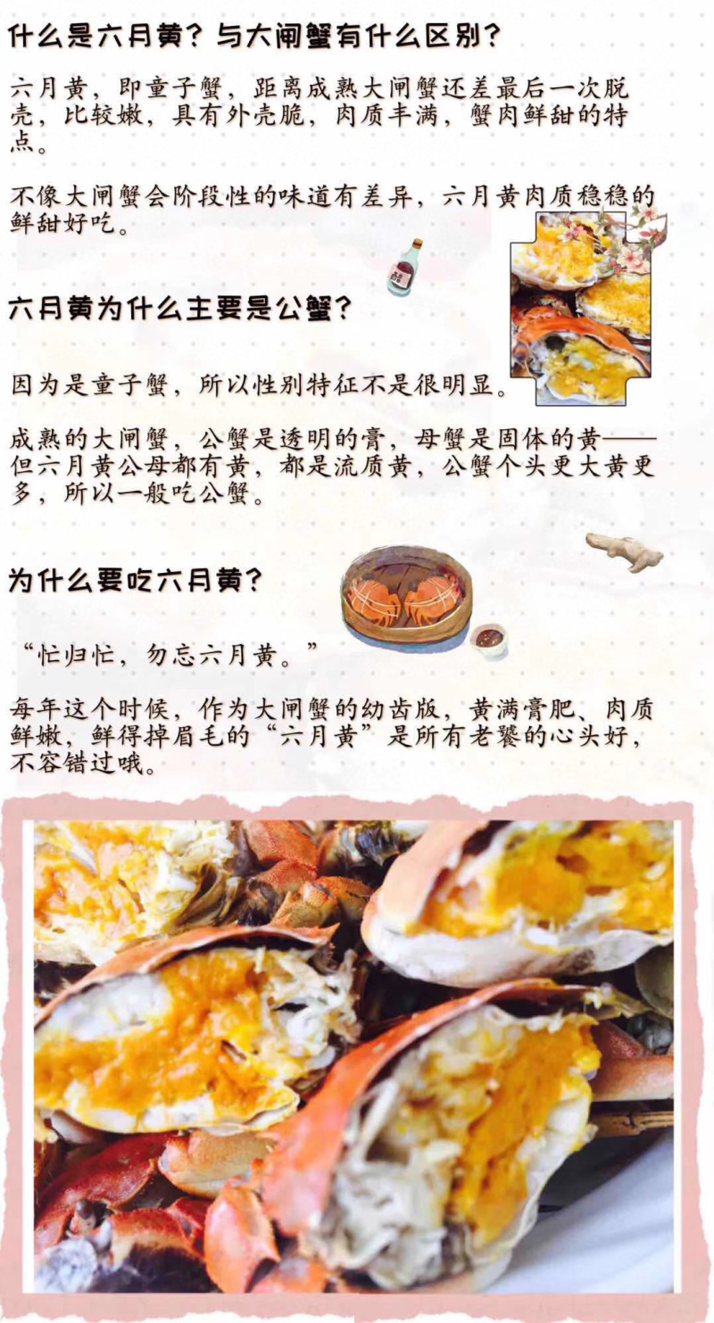 兴化大闸蟹河蟹六月黄公母不分童子蟹供应超市火锅店电商