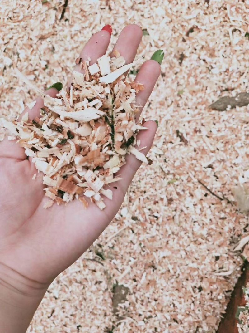 树枝破碎机树枝树干粉碎机干湿两用树枝粉碎机