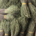 短脚独脚金【包邮】各种规格有货可批量可零售量大从优