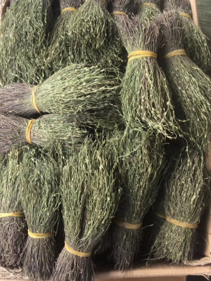 短脚独脚金【包邮】各种规格有货可批量可零售量大从优