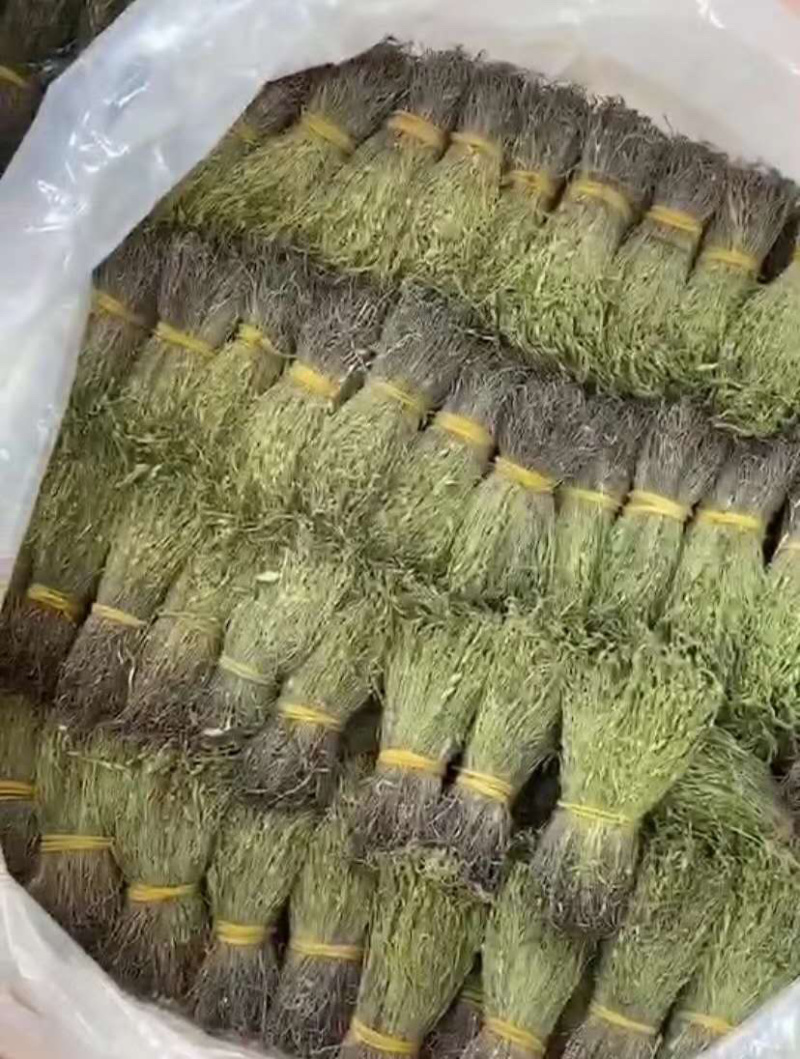 短脚独脚金【包邮】各种规格有货可批量可零售量大从优