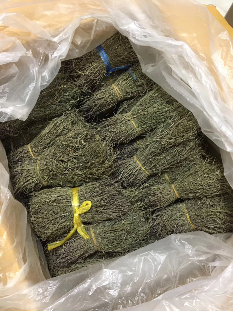 短脚独脚金【包邮】各种规格有货可批量可零售量大从优
