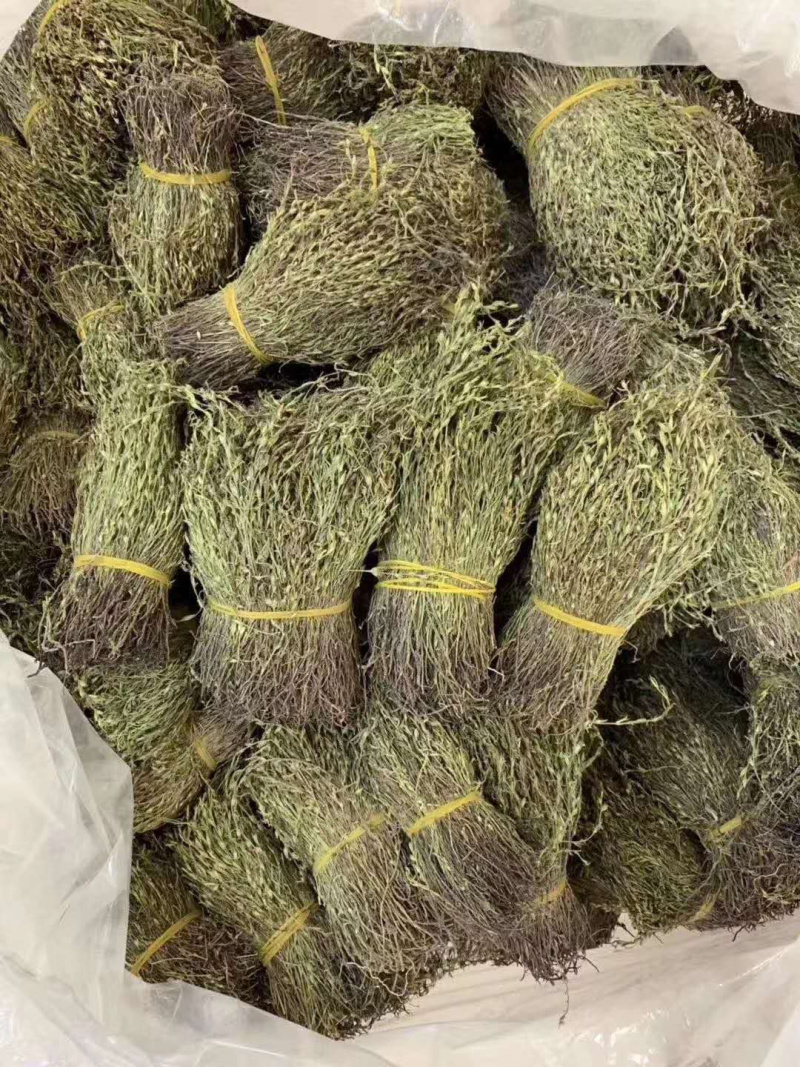 短脚独脚金【包邮】各种规格有货可批量可零售量大从优