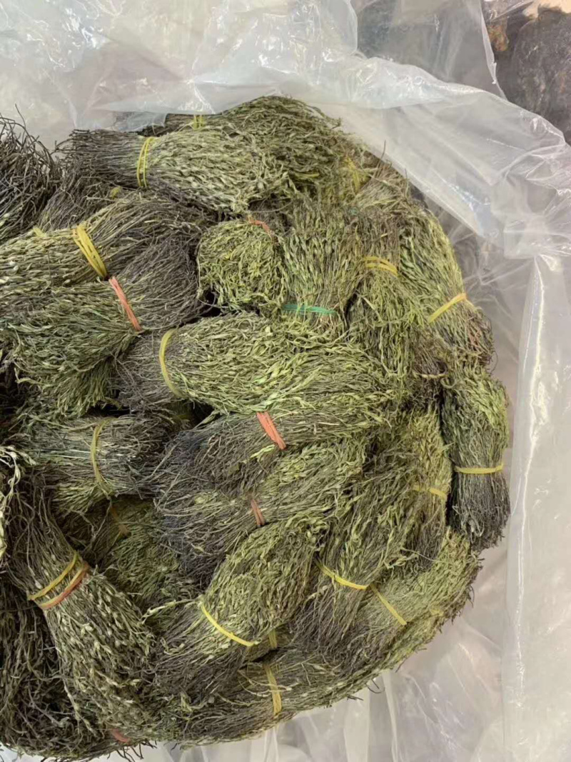 短脚独脚金【包邮】各种规格有货可批量可零售量大从优