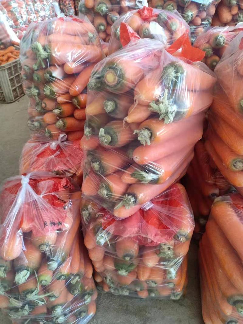 红萝卜，产地直发，大量供应，欢迎资询，订购。