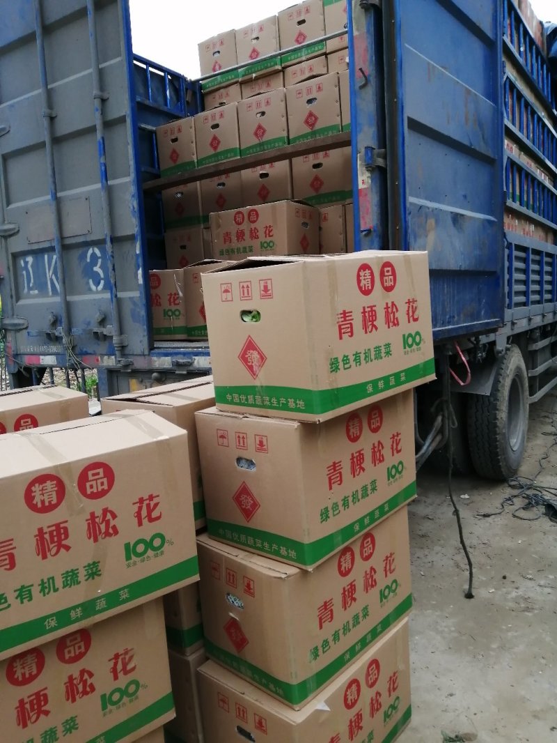 天门花菜走遍天下，精品松花爆仓上市，包装齐全，质量至上