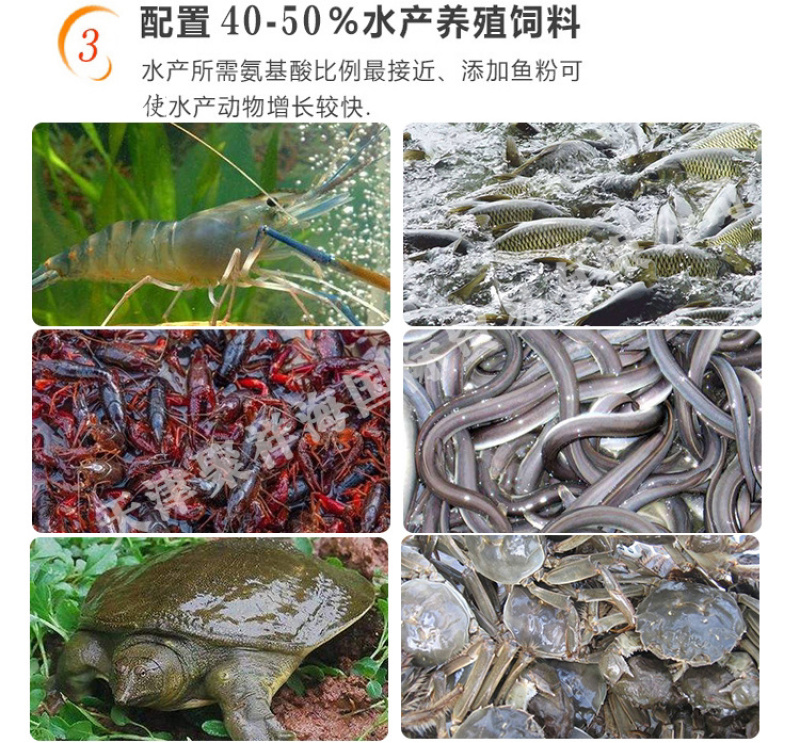 国产脱脂鱼粉优质蛋白鸡鸭鱼猪饲料，公司级国产鱼粉