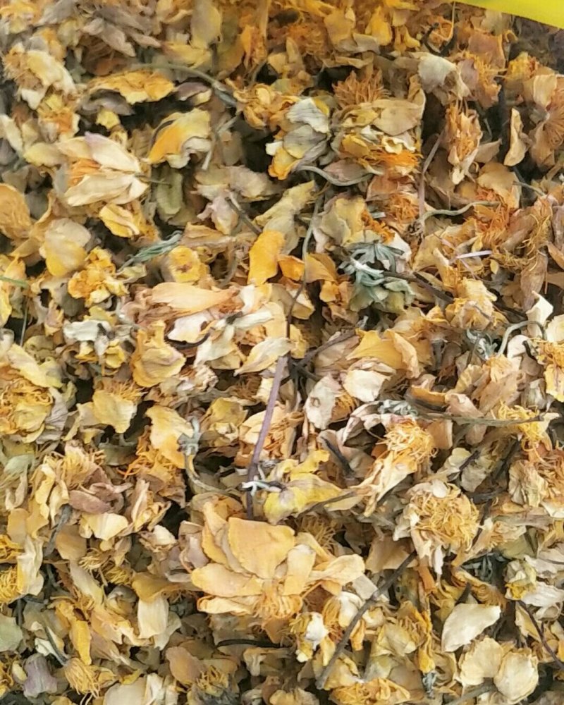 金莲花，常年批发供应，散装药食两用，金莲花