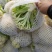 产地精选散花实花上市，产地直供，品质保证，发货全国各地
