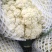 湖北菜花松花菜散花菜花产地直发品种全【一手货源】欢迎咨询