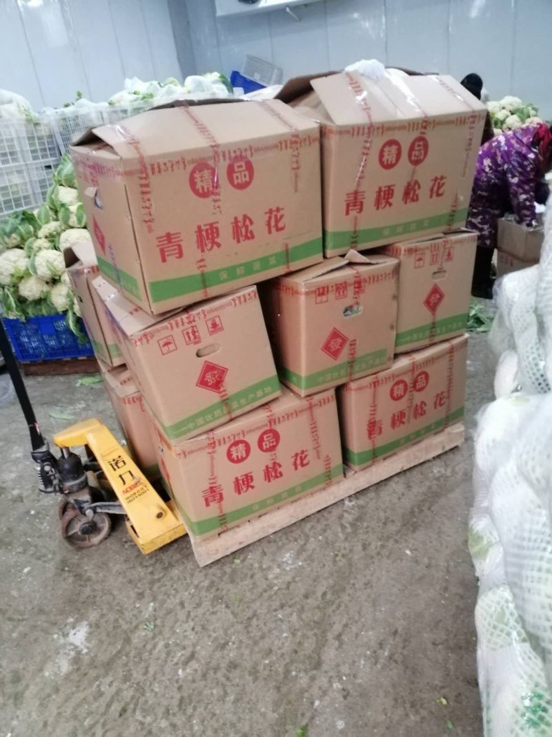 湖北菜花松花菜散花菜花产地直发品种全【一手货源】欢迎咨询