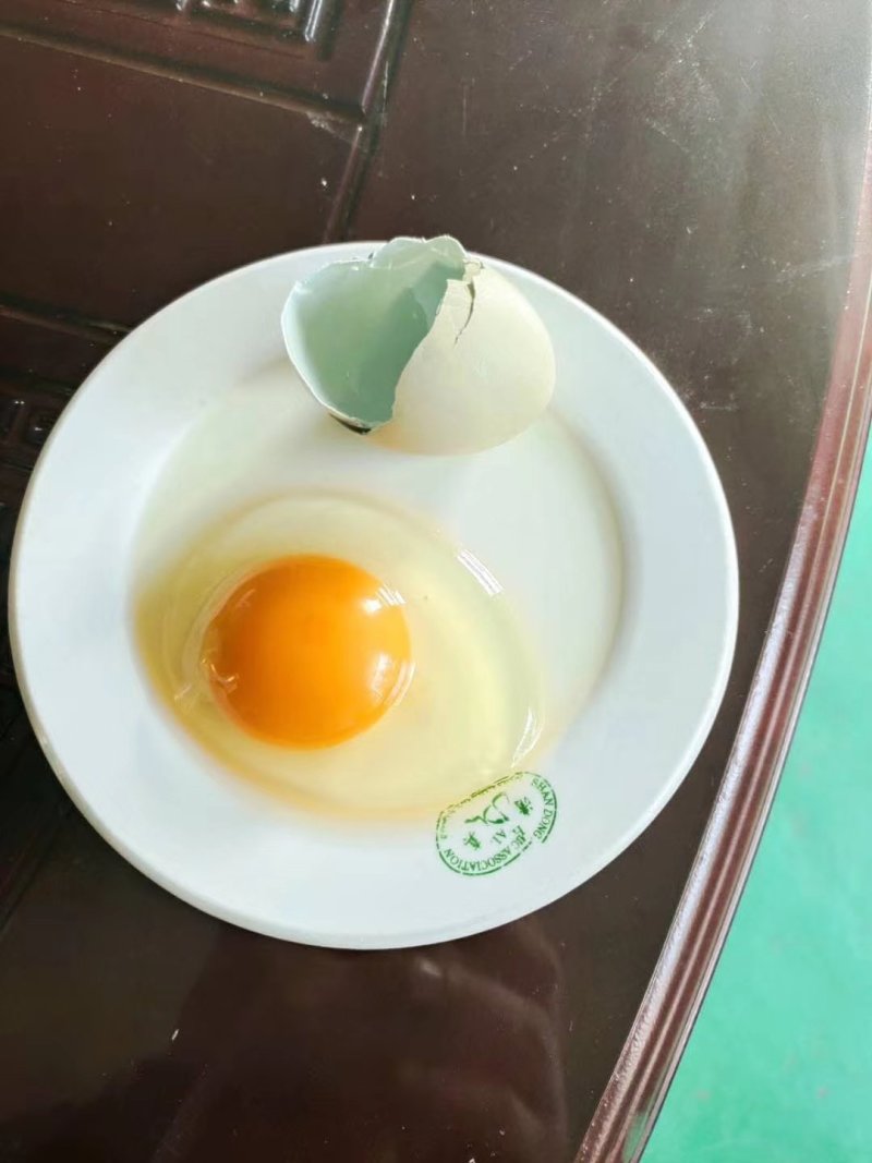 新鲜山鸡蛋野鸡蛋大量现货供应