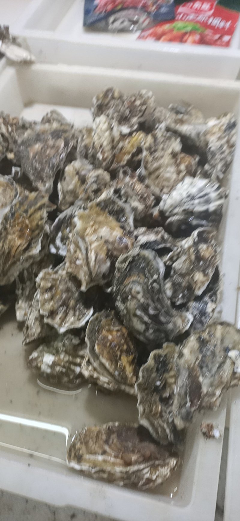 热销生蚝便宜大量出售，不怕便宜的私信。今年的生蚝大量上市