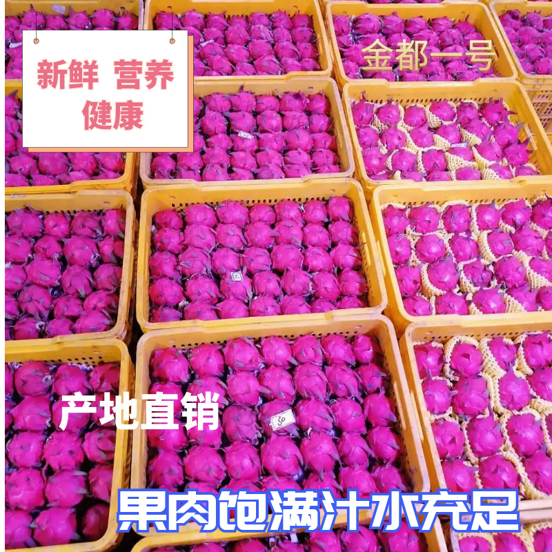 【推荐】湛丰果业：湛江产地红心火龙果专业代办。接电商