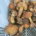 云南野生菌牛肝菌大量上市品种多多欢迎来电订购