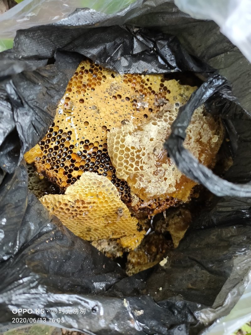 几十块一斤的蜜懂行的都笑而不语，来看我的野蜂蜜