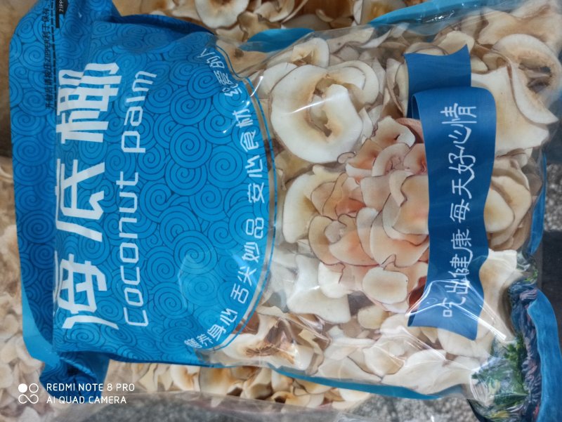 海底椰片精品可打粉专营中药品质保证